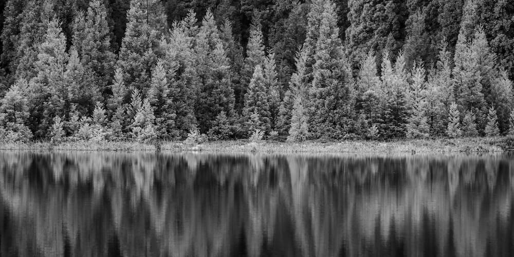 Reflection on reversibility, exploring how success, failure, relationships, wealth and identity constantly change over time.